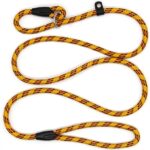 the best dog lead in the UK is a slip lead